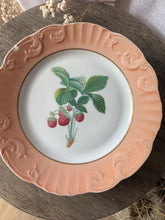Load image into Gallery viewer, Vintage Mottahedeh Vista Alegre Fruit Design Dinner Plates Crafted in Portugal Set of 6