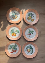 Load image into Gallery viewer, Vintage Mottahedeh Vista Alegre Fruit Design Dinner Plates Crafted in Portugal Set of 6