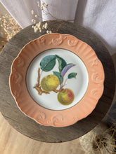 Load image into Gallery viewer, Vintage Mottahedeh Vista Alegre Fruit Design Dinner Plates Crafted in Portugal Set of 6