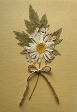 Load image into Gallery viewer, Dried Flower Collage Greeting Cards