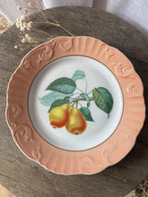 Load image into Gallery viewer, Vintage Mottahedeh Vista Alegre Fruit Design Dinner Plates Crafted in Portugal Set of 6
